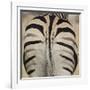 Well-groomed butt end of a Burchell's Zebra, Etosha National Park, Namibia.-Brenda Tharp-Framed Photographic Print