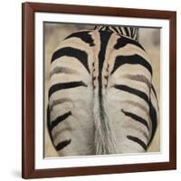 Well-groomed butt end of a Burchell's Zebra, Etosha National Park, Namibia.-Brenda Tharp-Framed Photographic Print