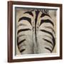 Well-groomed butt end of a Burchell's Zebra, Etosha National Park, Namibia.-Brenda Tharp-Framed Photographic Print