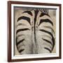 Well-groomed butt end of a Burchell's Zebra, Etosha National Park, Namibia.-Brenda Tharp-Framed Photographic Print