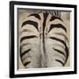 Well-groomed butt end of a Burchell's Zebra, Etosha National Park, Namibia.-Brenda Tharp-Framed Photographic Print