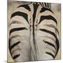 Well-groomed butt end of a Burchell's Zebra, Etosha National Park, Namibia.-Brenda Tharp-Mounted Photographic Print