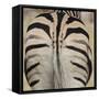 Well-groomed butt end of a Burchell's Zebra, Etosha National Park, Namibia.-Brenda Tharp-Framed Stretched Canvas