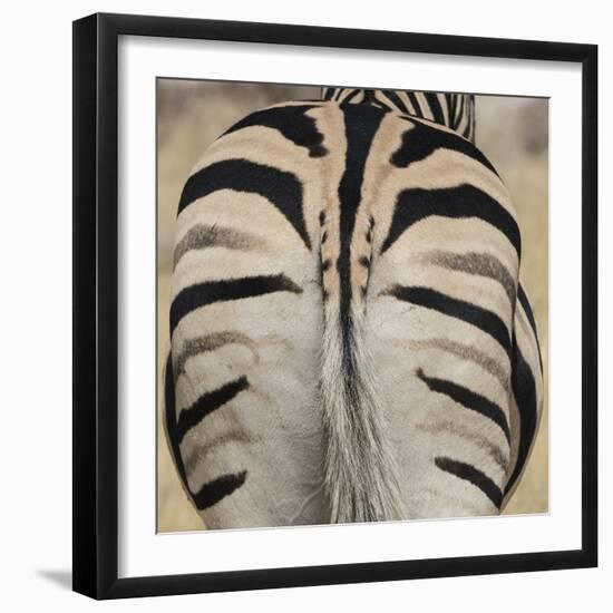 Well-groomed butt end of a Burchell's Zebra, Etosha National Park, Namibia.-Brenda Tharp-Framed Photographic Print