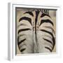 Well-groomed butt end of a Burchell's Zebra, Etosha National Park, Namibia.-Brenda Tharp-Framed Photographic Print