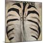 Well-groomed butt end of a Burchell's Zebra, Etosha National Park, Namibia.-Brenda Tharp-Mounted Photographic Print