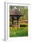 Well in Spring Garden-neirfy-Framed Photographic Print