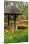 Well in Spring Garden-neirfy-Mounted Photographic Print