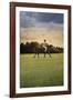 Well Played-Pete Kelly-Framed Giclee Print