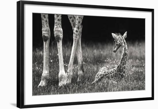 Well Protected-Andreas Feldtkeller-Framed Giclee Print