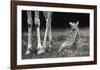 Well Protected-Andreas Feldtkeller-Framed Giclee Print