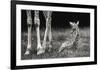 Well Protected-Andreas Feldtkeller-Framed Giclee Print