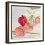 Well Red Poppy-Mandy Lynne-Framed Art Print