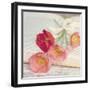 Well Red Poppy-Mandy Lynne-Framed Art Print