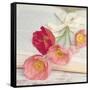 Well Red Poppy-Mandy Lynne-Framed Stretched Canvas