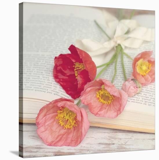 Well Red Poppy-Mandy Lynne-Stretched Canvas