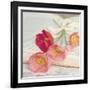 Well Red Poppy-Mandy Lynne-Framed Art Print