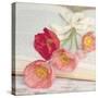 Well Red Poppy-Mandy Lynne-Stretched Canvas