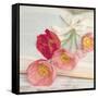Well Red Poppy-Mandy Lynne-Framed Stretched Canvas