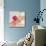 Well Red Poppy-Mandy Lynne-Stretched Canvas displayed on a wall