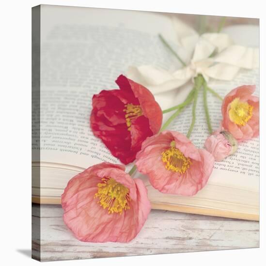 Well Red Poppy-Mandy Lynne-Stretched Canvas