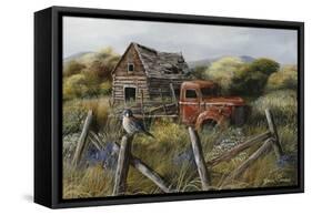 Well Worn Perch-Trevor V. Swanson-Framed Stretched Canvas