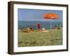 Wellfleet Beach-Sarah Butterfield-Framed Giclee Print