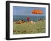 Wellfleet Beach-Sarah Butterfield-Framed Giclee Print