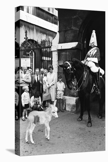 Wellington Barracks at Horse Guards, 1966-Alisdair Macdonald-Stretched Canvas