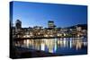 Wellington CBD at Dusk-FiledIMAGE-Stretched Canvas