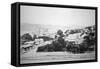 Wellington, New Zealand, 1875-null-Framed Stretched Canvas