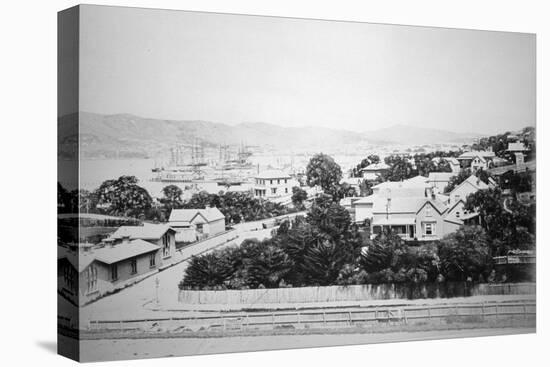 Wellington, New Zealand, 1875-null-Stretched Canvas