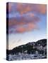Wellington, North Island, New Zealand, Pacific-Michael Snell-Stretched Canvas