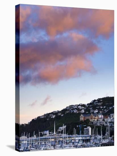 Wellington, North Island, New Zealand, Pacific-Michael Snell-Stretched Canvas