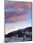 Wellington, North Island, New Zealand, Pacific-Michael Snell-Mounted Photographic Print
