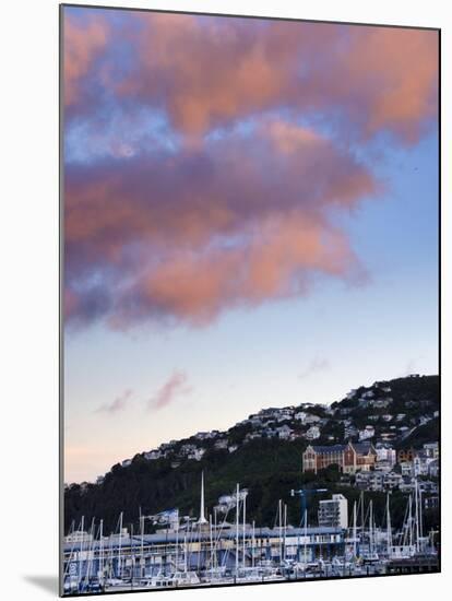Wellington, North Island, New Zealand, Pacific-Michael Snell-Mounted Photographic Print