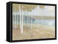Framed Canvas