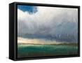 Framed Canvas