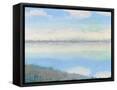 Framed Canvas