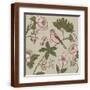 Brown Frame