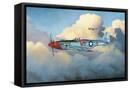 Framed Canvas