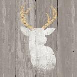 Precious Antlers II on Gray Wood-Wellington Studio-Art Print