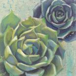 Succulents I Crop-Wellington Studio-Art Print