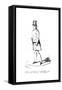 Wellington Walking-Alfred Crowquill-Framed Stretched Canvas