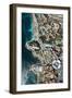 Wellness Hotel with Black Beach and View Rock, Aerial Picture, Canary Islands, Spain-Frank Fleischmann-Framed Photographic Print