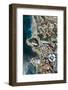 Wellness Hotel with Black Beach and View Rock, Aerial Picture, Canary Islands, Spain-Frank Fleischmann-Framed Photographic Print