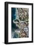 Wellness Hotel with Black Beach and View Rock, Aerial Picture, Canary Islands, Spain-Frank Fleischmann-Framed Photographic Print