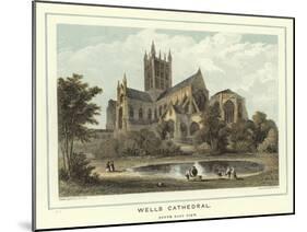 Wells Cathedral, South East View-Hablot Knight Browne-Mounted Giclee Print