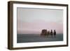 Wells Fargo Stagecoach on a Modern Publicity Run on the Western Plains-null-Framed Giclee Print