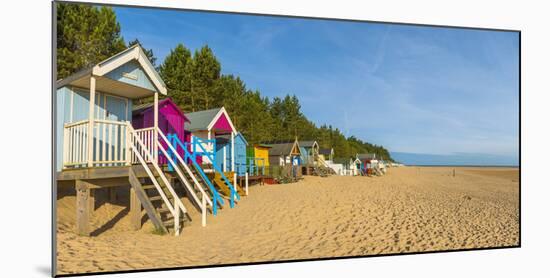 Wells-Next-The-Sea Beach, North Norfolk, England, United Kingdom, Europe-Alan Copson-Mounted Photographic Print